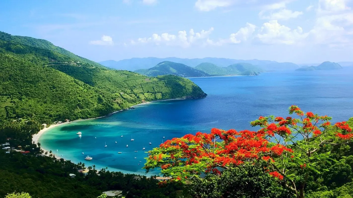 高效独特